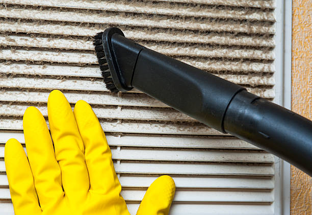 Best Local Air Duct Cleaning Services  in Diboll, TX